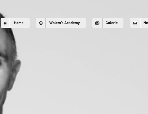Création su site internet Johan Walem Academy